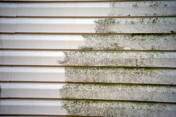 Best Construction Debris Removal  in Taylor Mill, KY